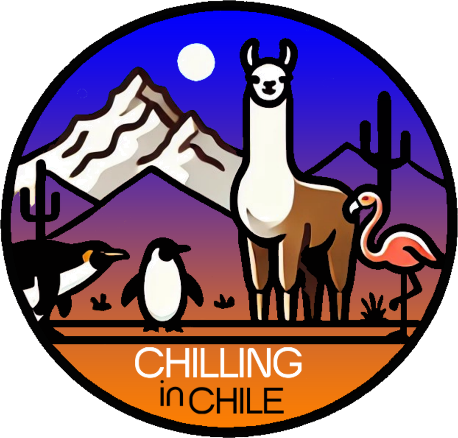 Chilling in Chile Turismo